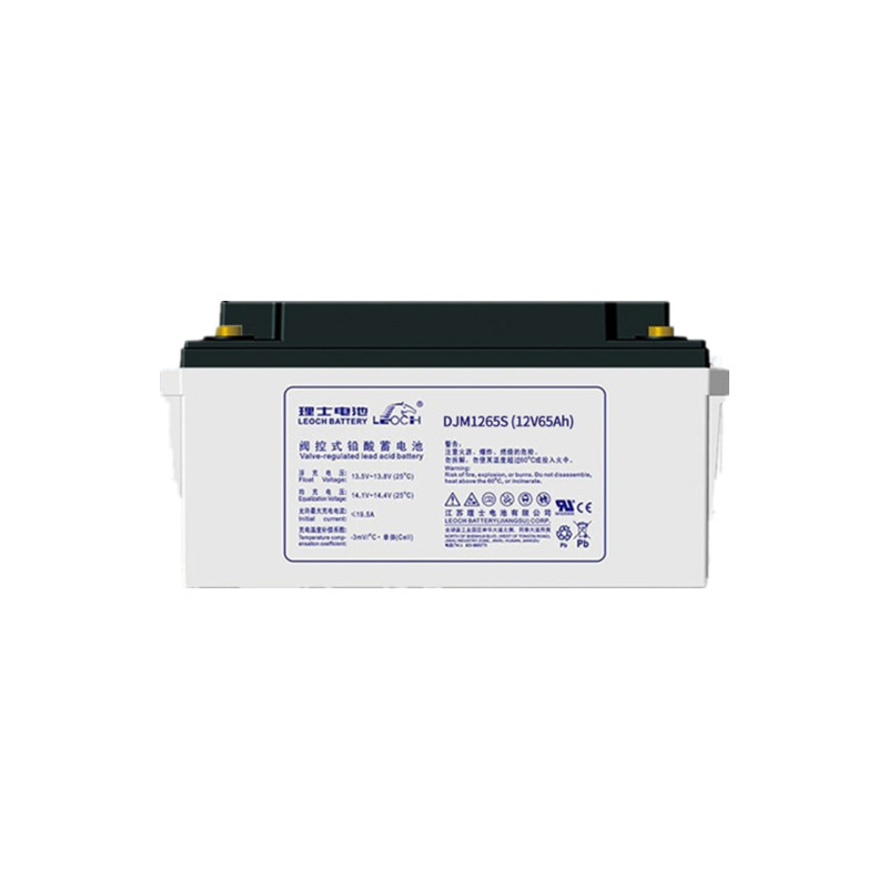 贵阳理士蓄电池DJM1265（12V65AH）